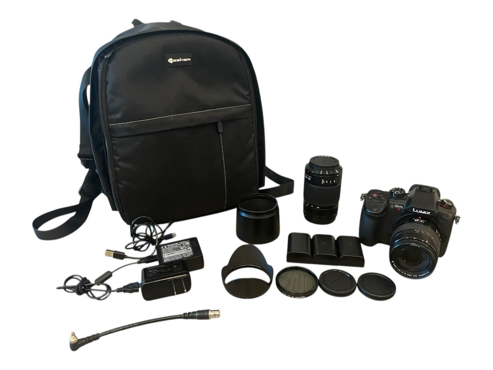 Panasonic Lumix DC-GH5S Camera Accessory Bundle